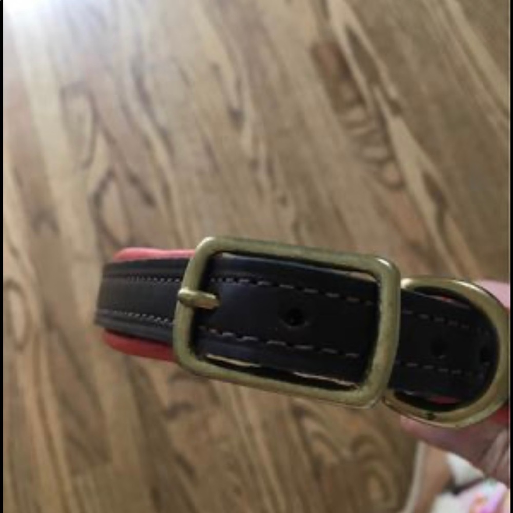 Dog collars - Picture 3 of 4